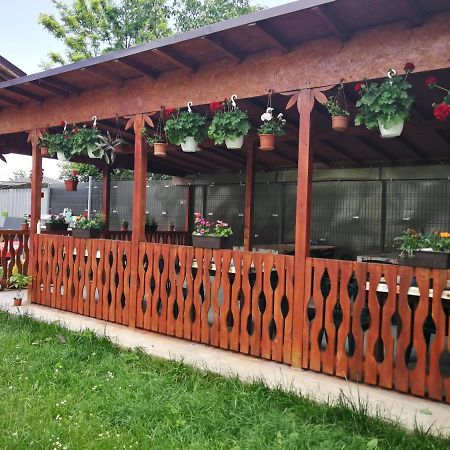 Vila Baciu Hotel Tuzla Exterior photo