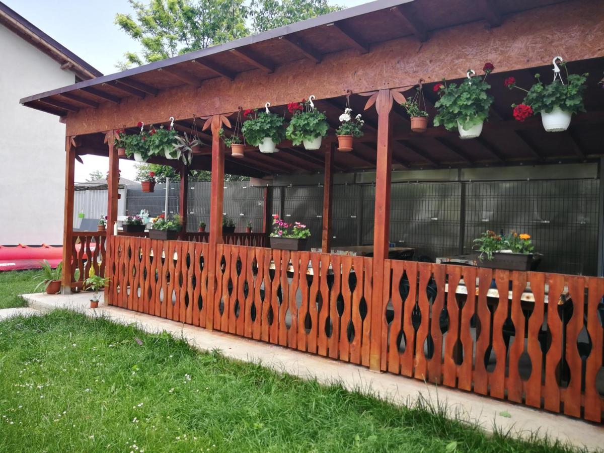 Vila Baciu Hotel Tuzla Exterior photo