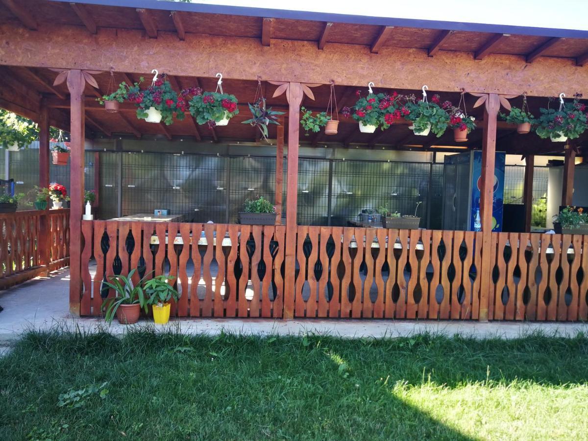 Vila Baciu Hotel Tuzla Exterior photo